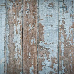 Meet your Posher, Sharon and Kelly